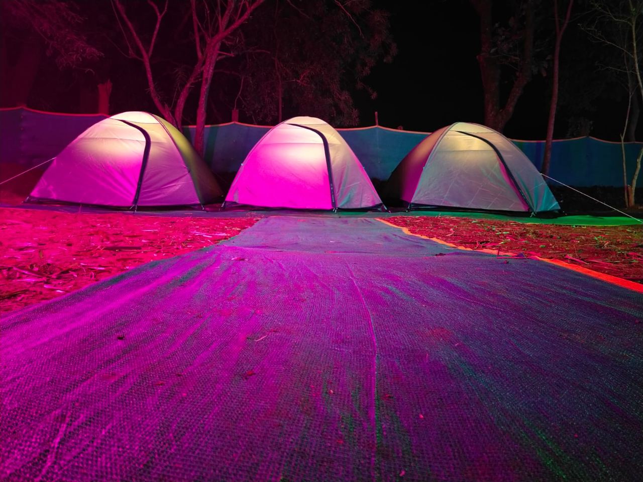 Daringibadi Camping by Camp Badi